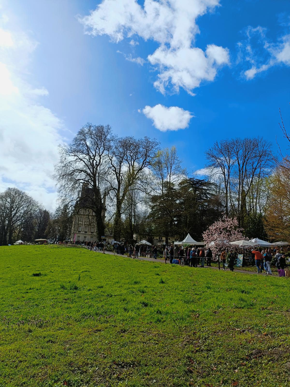 Plongée dans le monde des oiseaux