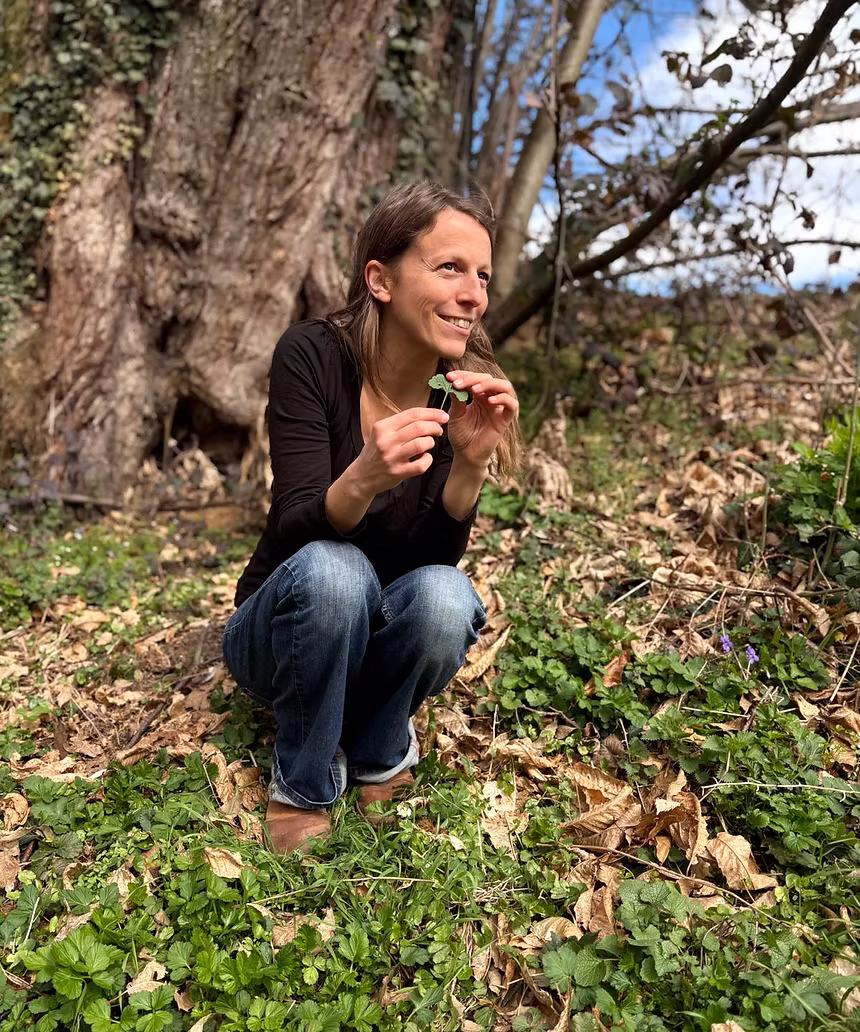 Les secrets des plantes