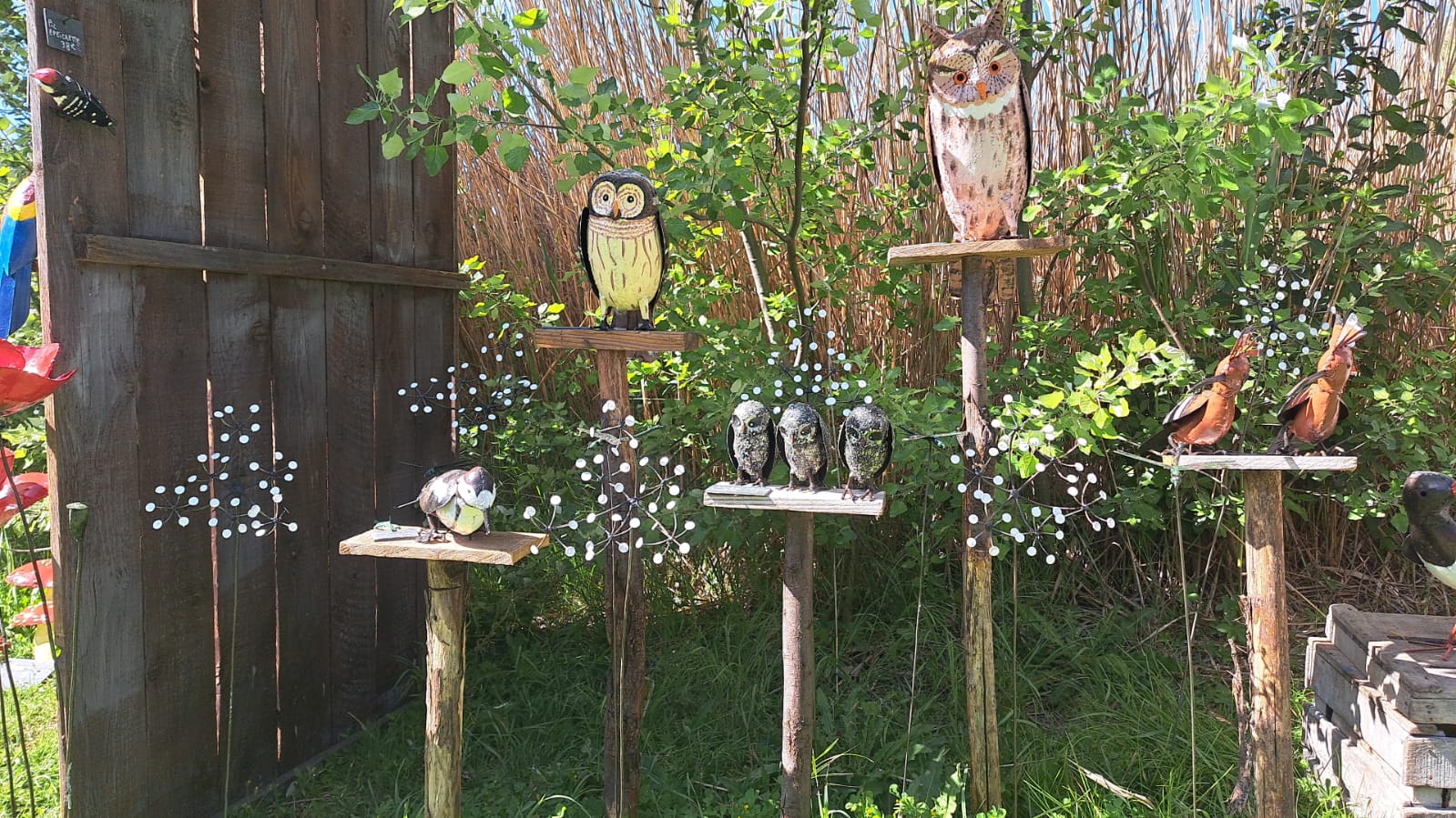 ARROSOIR ET PERSIL Logo