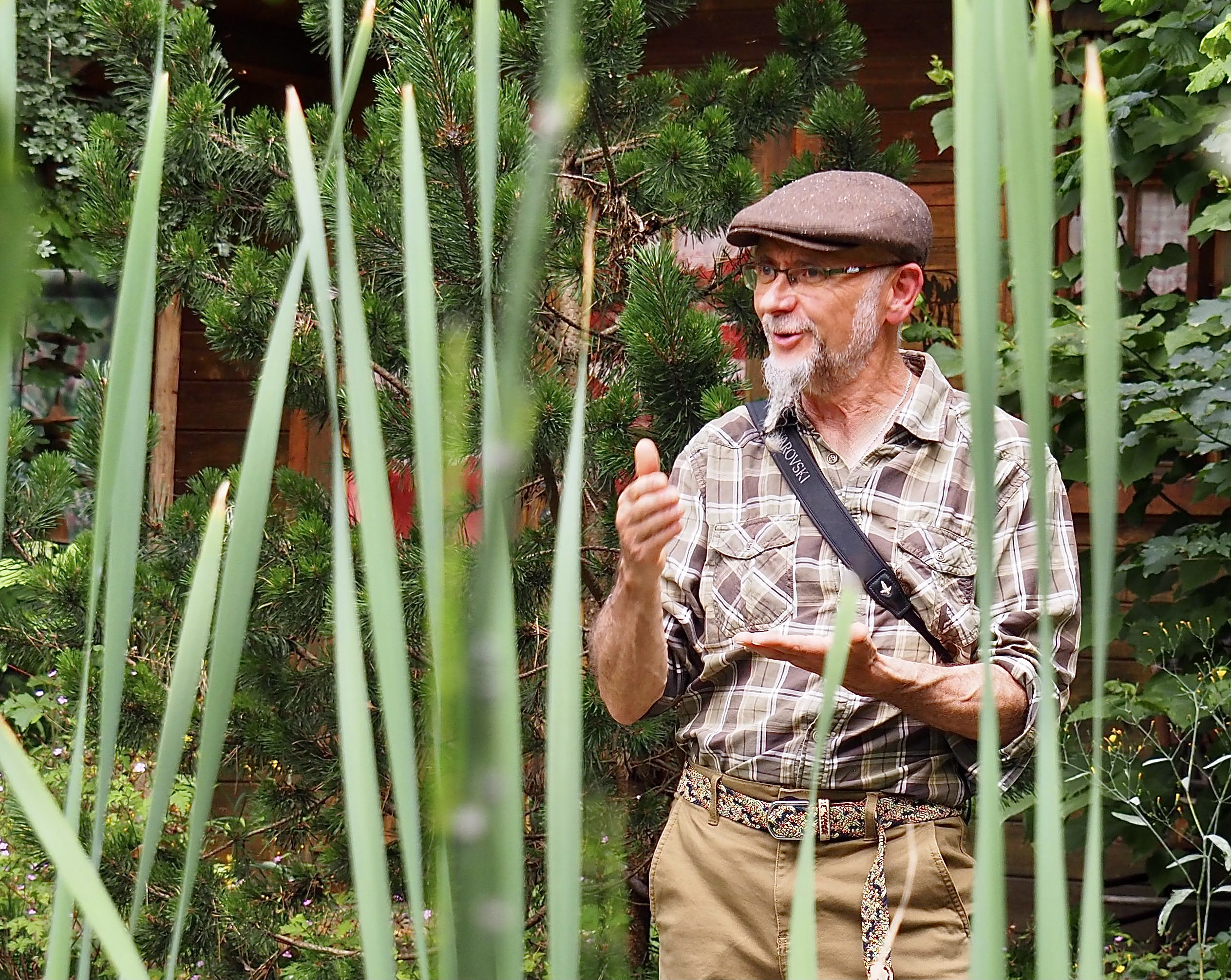 La mare, oasis de biodiversité et atout pour le climat