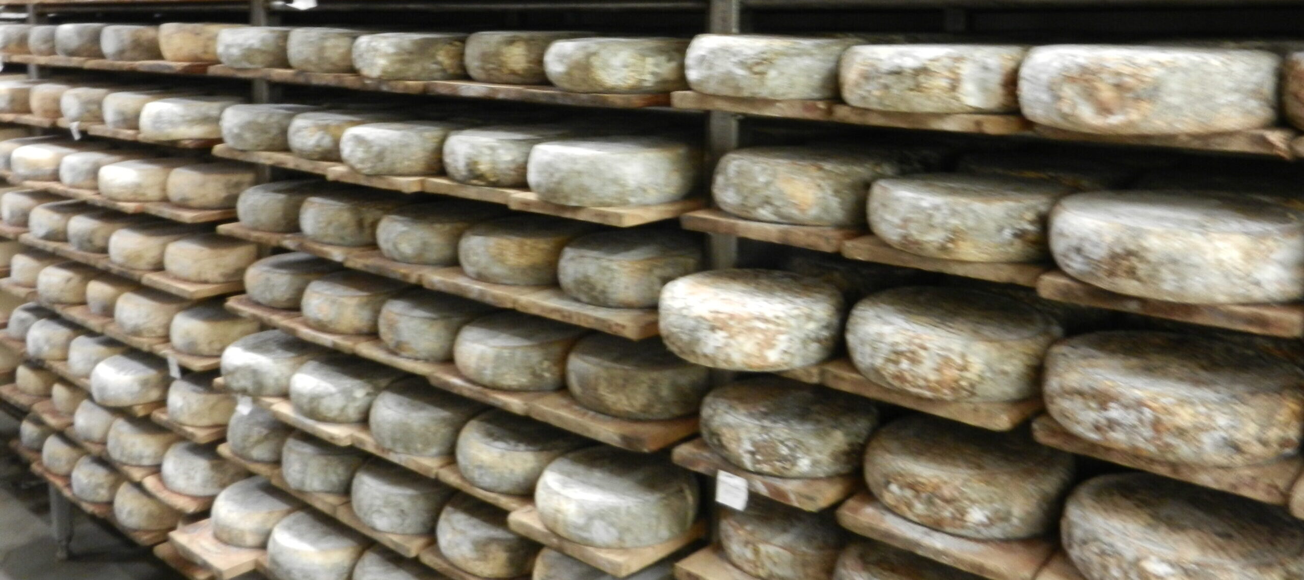 LA FERME REINACH Logo