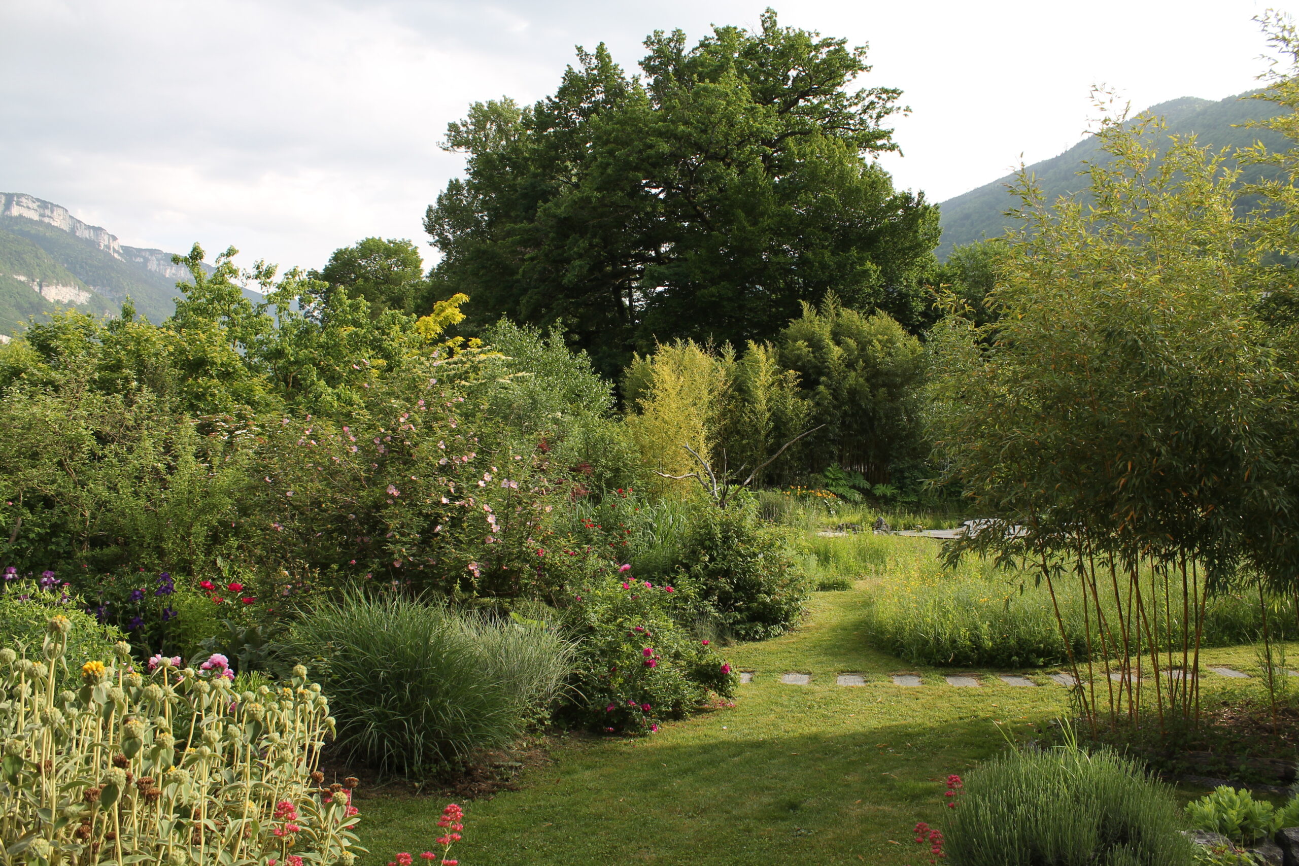 JARDINS NATURELS ET FENG SHUI Logo