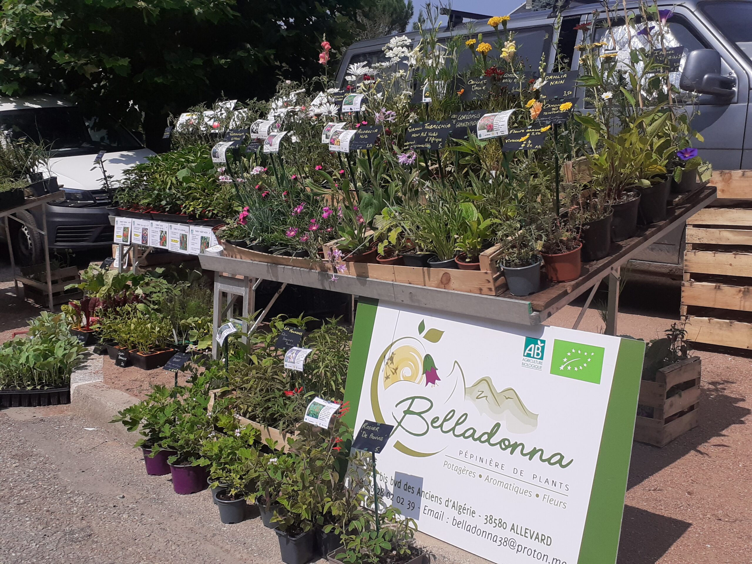 PÉPINIÈRE BELLADONNA Logo