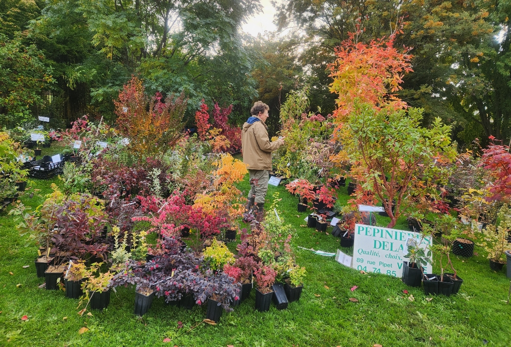 PÉPINIÈRE DELAY Logo