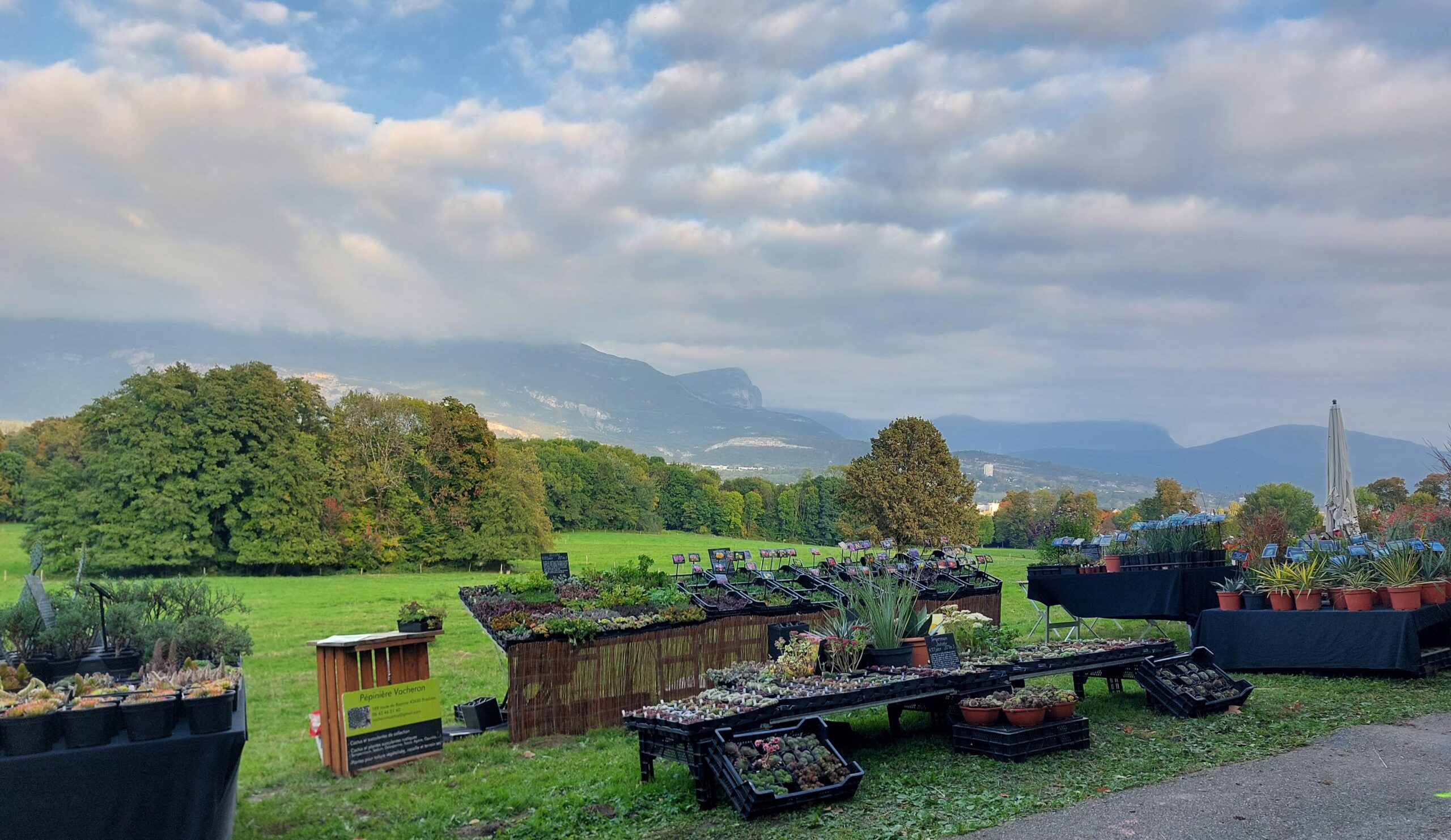 PÉPINIÈRE VACHERON Logo
