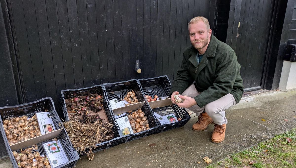 LE COMPTOIR DES BULBES Logo