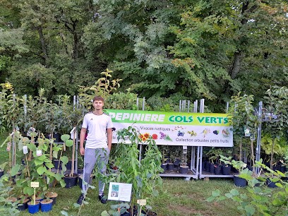 PÉPINIÈRE DES COLS VERTS Logo