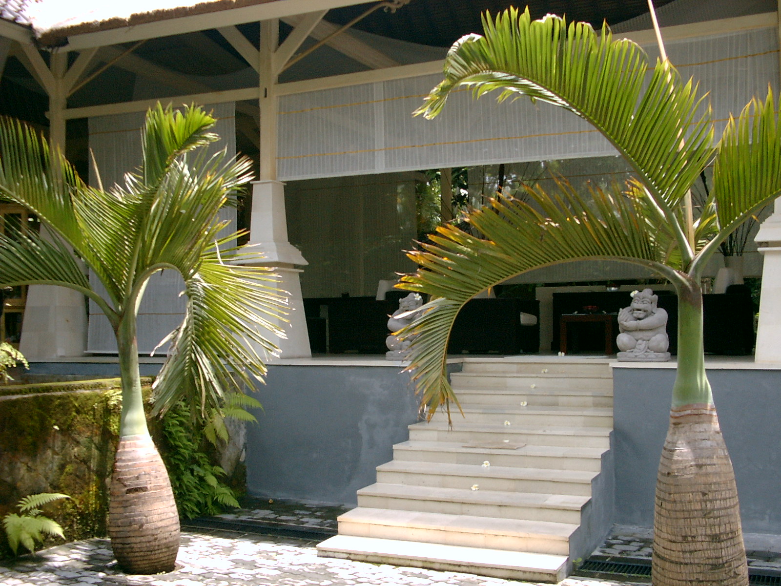 PÉPINIÈRE DES NARTETTES Logo