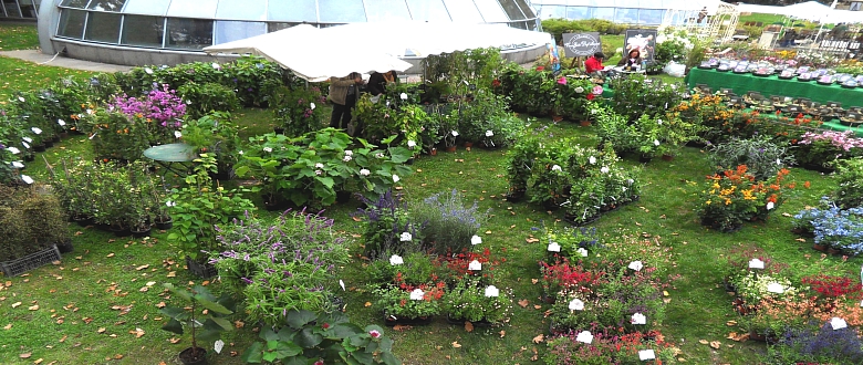 PÉPINIÈRE BONNET Logo