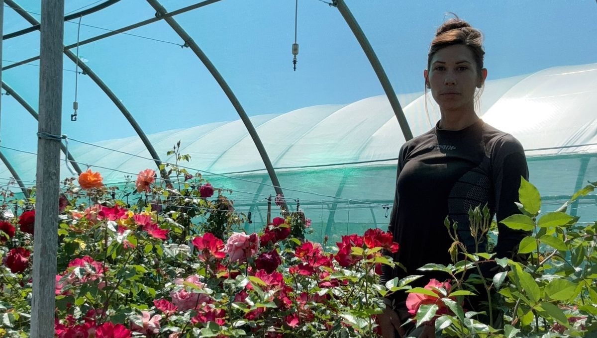 ROSES DE CHARME Logo